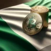 The SEC of Nigeria is targeting unregulated cryptocurrency exchanges in order to safeguard investors