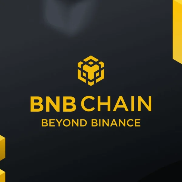 BNB Chain introduces gasless stablecoin payments initiative