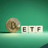 Bitcoin ETFs record