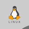 Linux debuts decentralized foundation with Hedera and 100+ members