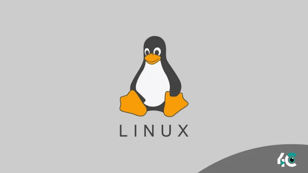 Linux debuts decentralized foundation with Hedera and 100+ members