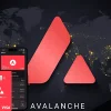 Avalanche Foundation